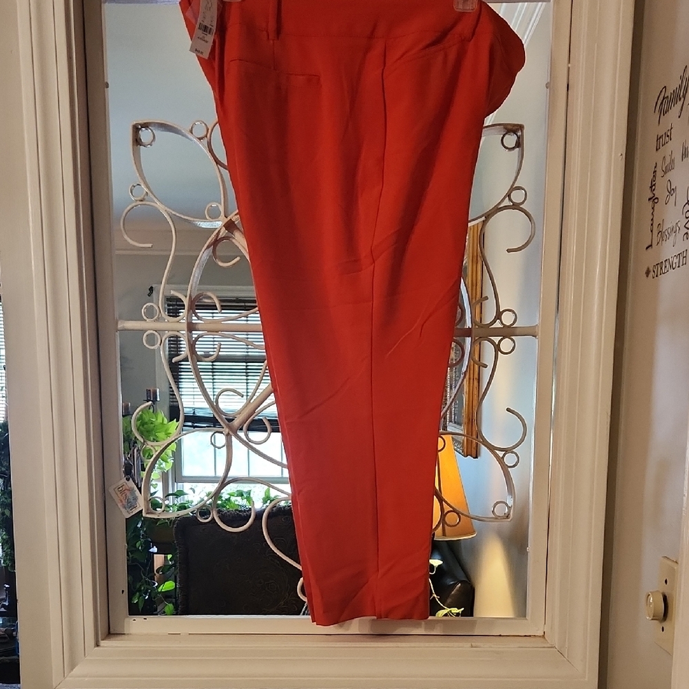 New York & Company Orange Ankle Cropped Pants